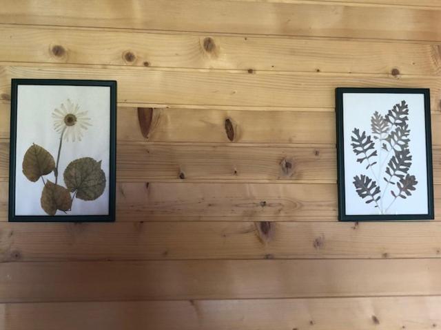 Family Lux Zabljak (Zabljak)