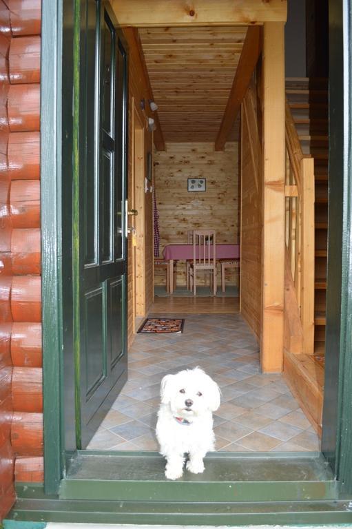 Apartment Family Lux Zabljak (Zabljak)